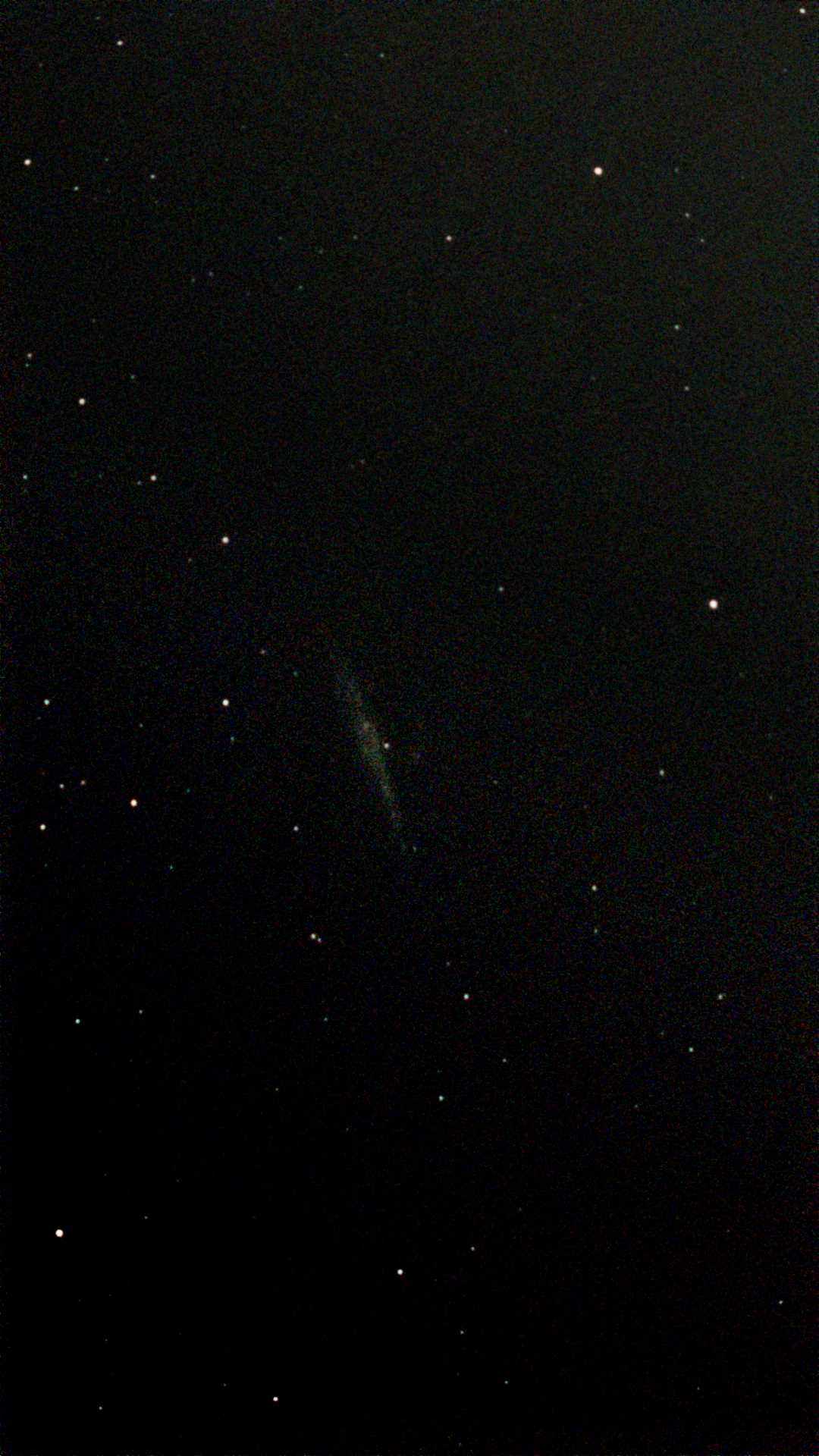 NGC 4631.jpg